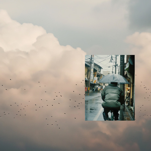 免费看无码网站成人A片
