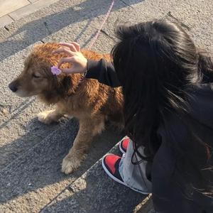 免费看无码网站成人A片
