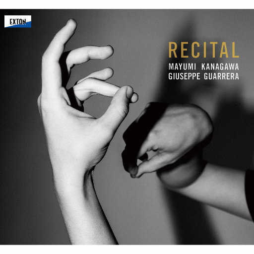 免费看无码网站成人A片
